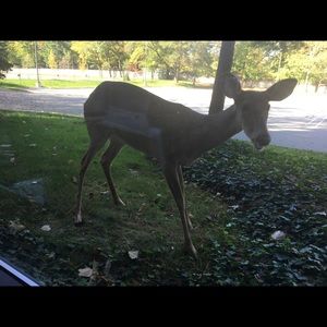 Meet your Posher, Rick